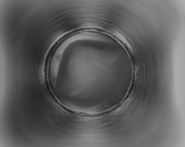 X0000094221068200711091252