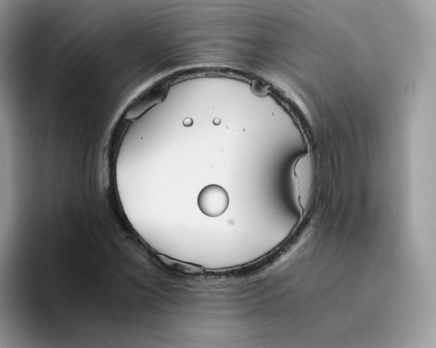 X0000094221069200711091251