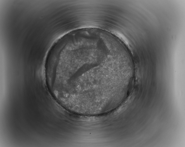 X0000094221072200711091251