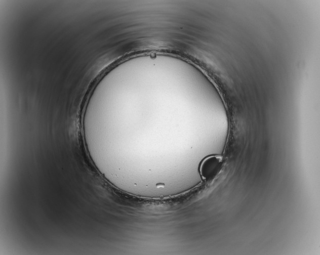 X0000094221073200711091251