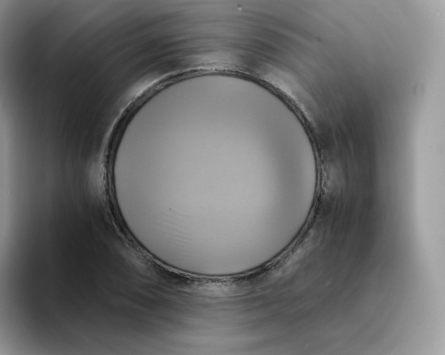 X0000094221074200711091251