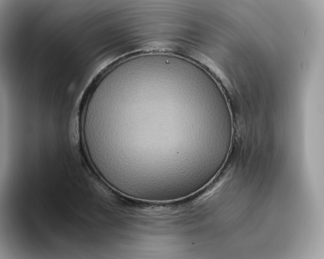 X0000094221075200711091251