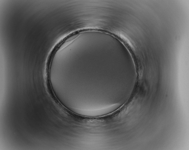 X0000094221077200711091251