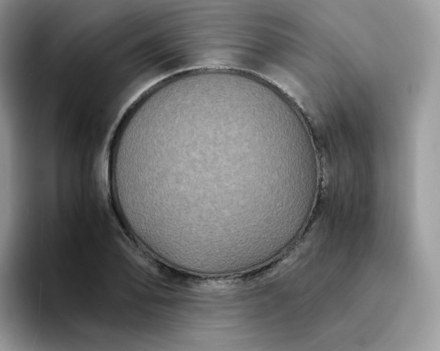 X0000094221078200711091251