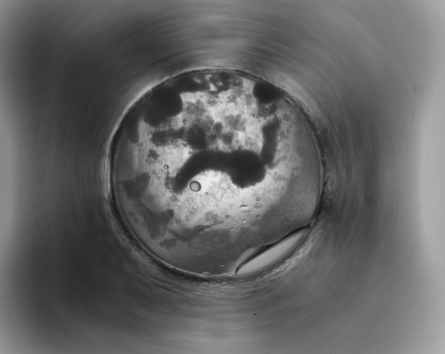 X0000094221079200711091251