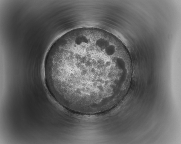 X0000094221080200711091251