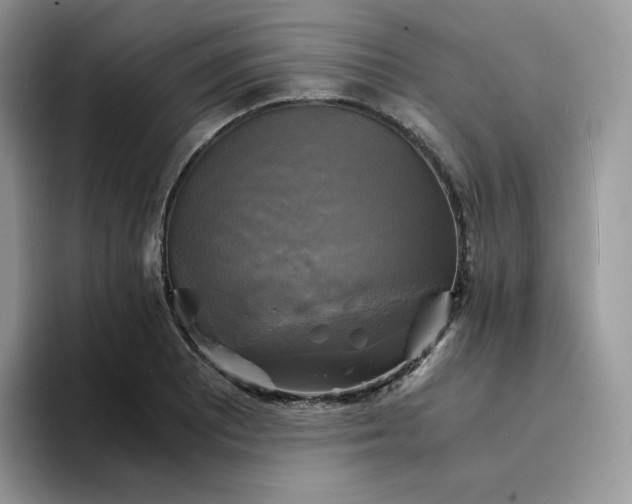 X0000094221081200711091251