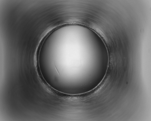 X0000094221082200711091251