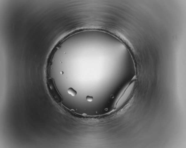 X0000094221085200711091251