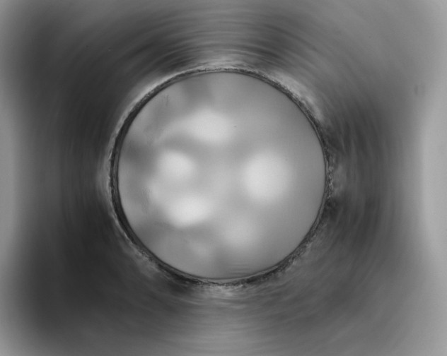 X0000094221086200711091251