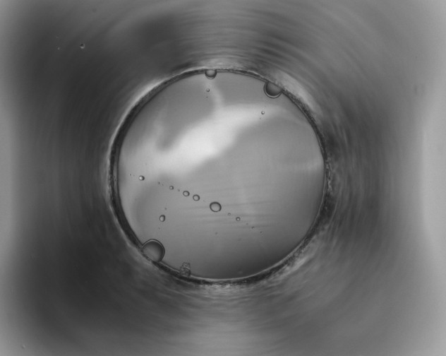 X0000094221087200711091251