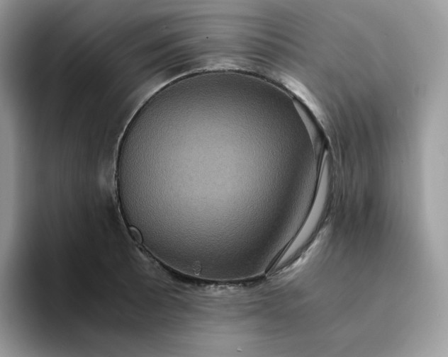 X0000094221089200711091251