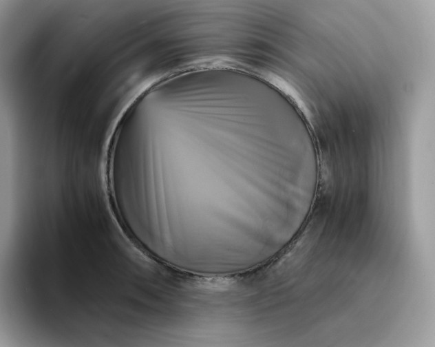 X0000094221090200711091251