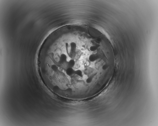 X0000094221091200711091251