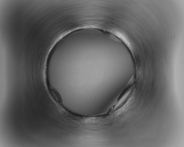 X0000094221093200711091251