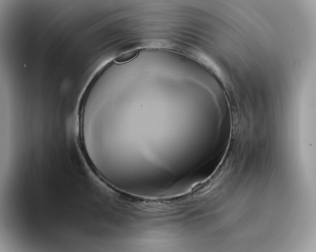 X0000094221095200711091251