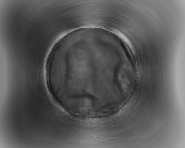 X0000094221096200711091251