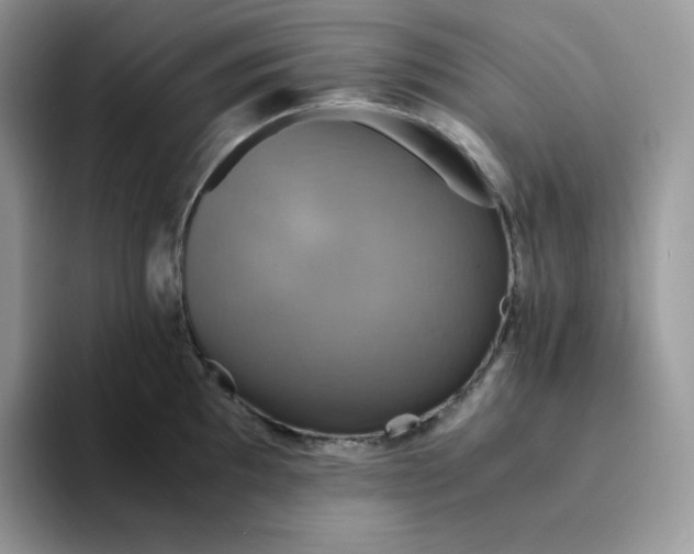 X0000094221097200711091251