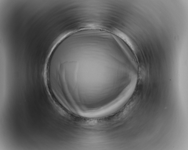 X0000094221098200711091251