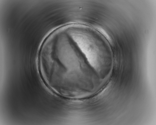 X0000094221100200711091251