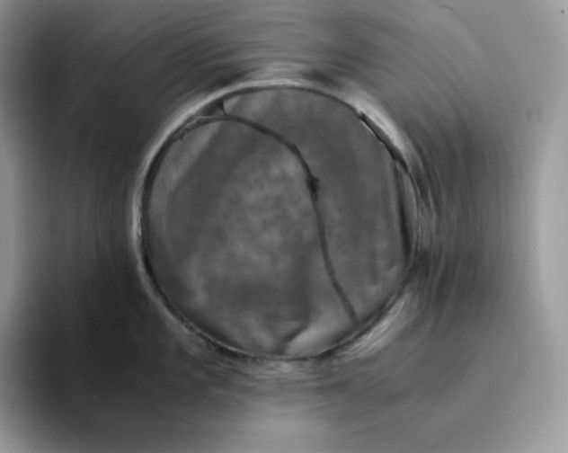 X0000094221101200711091251