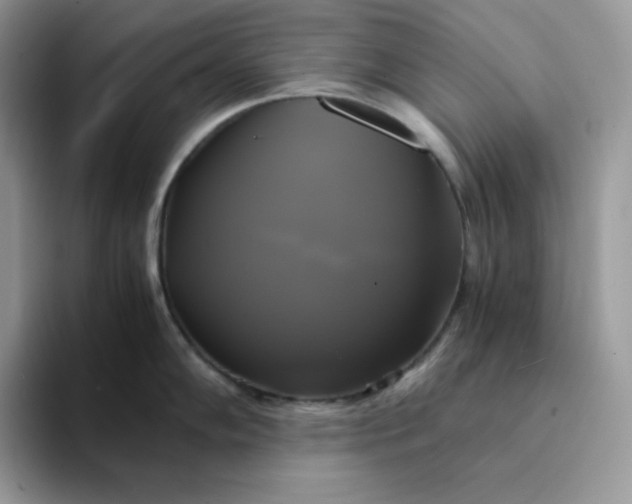 X0000094221102200711091251