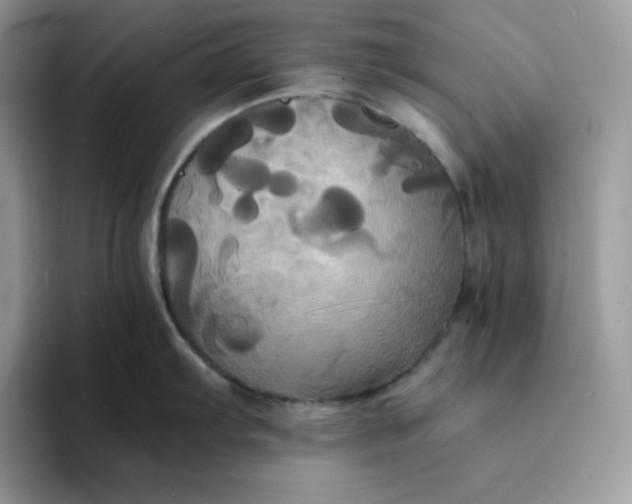 X0000094221103200711091251