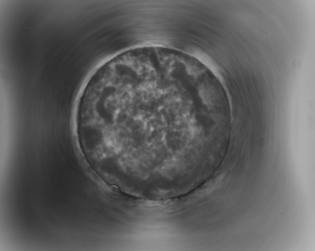 X0000094221104200711091251