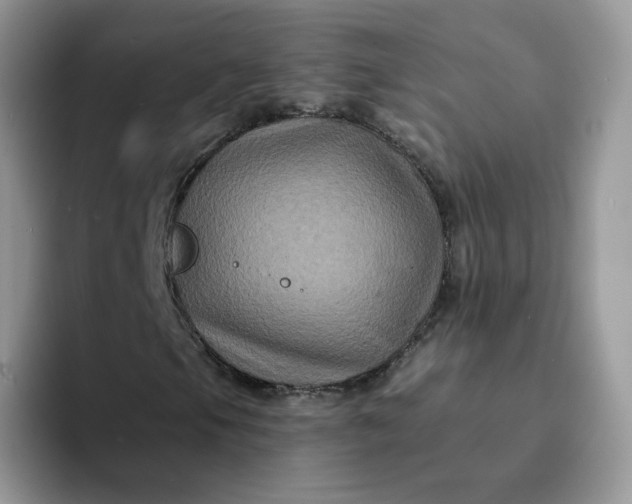 X0000094221105200711091251