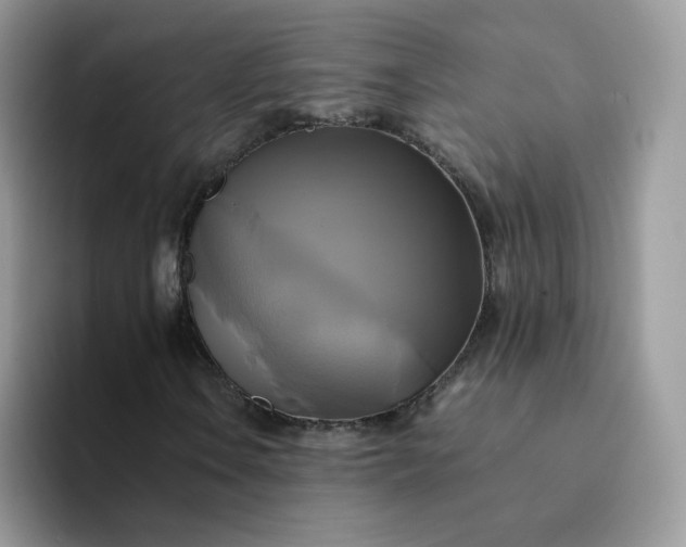 X0000094221106200711091251