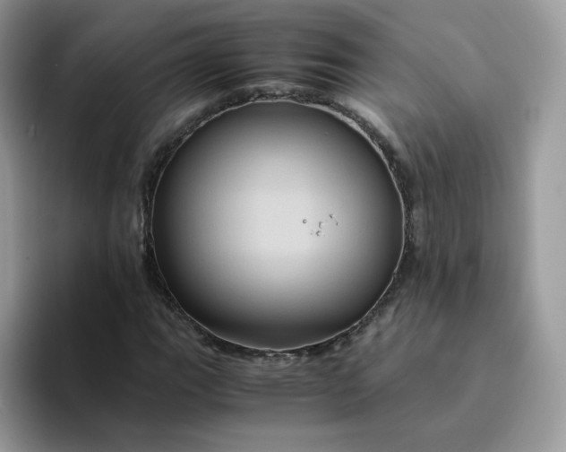 X0000094221111200711091251