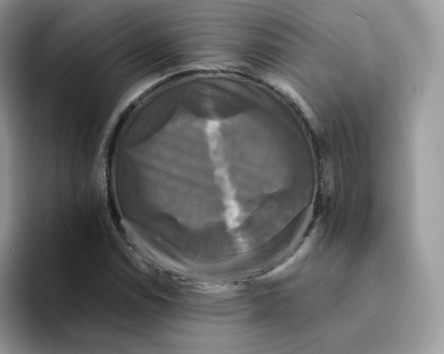 X0000094221114200711091251