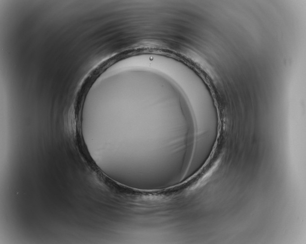 X0000094221117200711091251