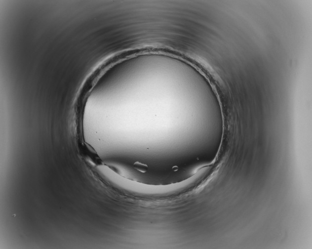 X0000094221118200711091251