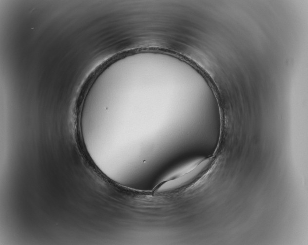 X0000094221119200711091251