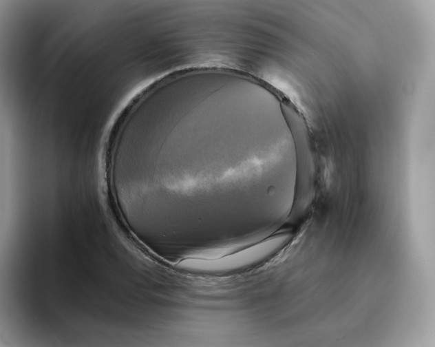 X0000094221120200711091251