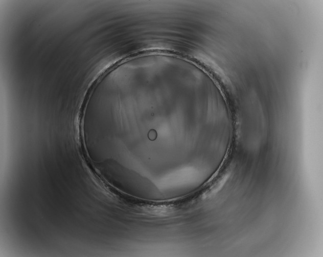 X0000094221121200711091251