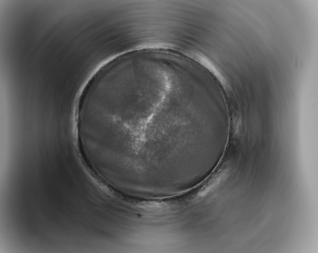 X0000094221124200711091251