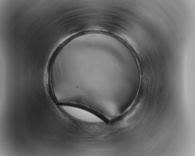 X0000094221125200711091251