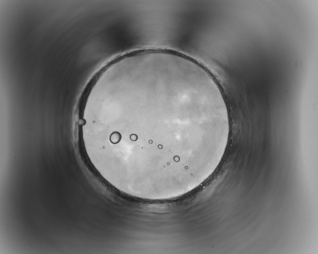 X0000094221126200711091251