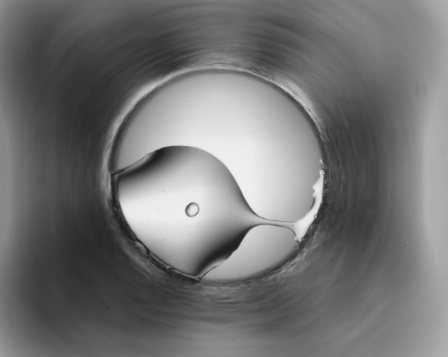 X0000094221128200711091251