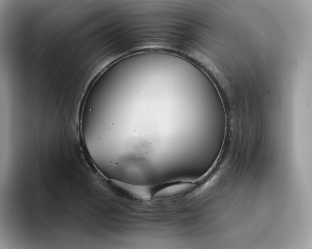 X0000094221129200711091251