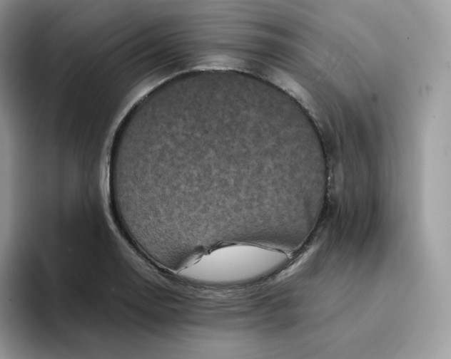 X0000094221130200711091251