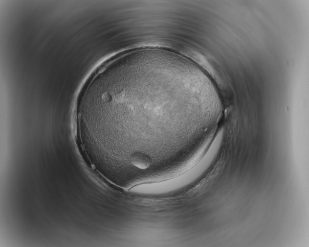 X0000094221132200711091251