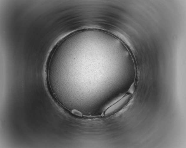 X0000094221133200711091251