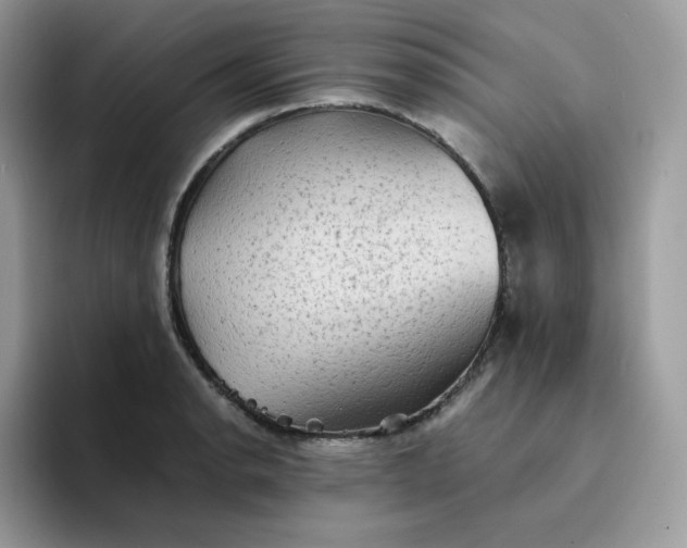 X0000094221134200711091251