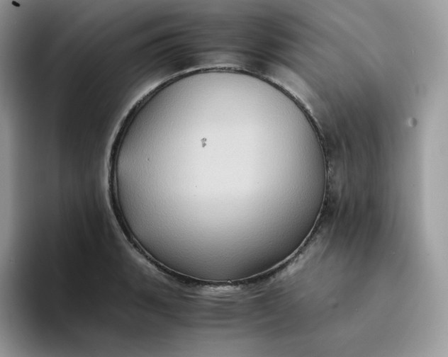 X0000094221135200711091251