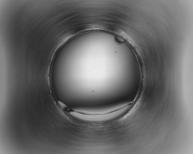 X0000094221137200711091251