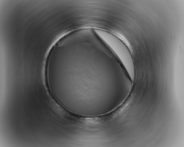 X0000094221138200711091251