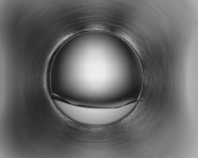 X0000094221139200711091251